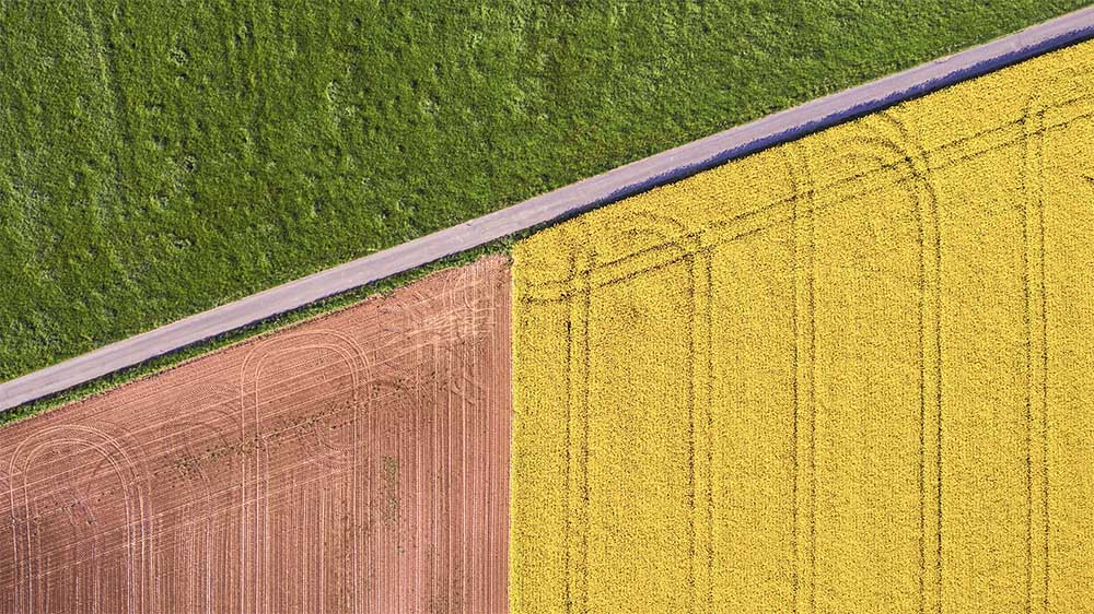 Kapsera lève 700 k€ auprès de Demeter, le premier fonds européen d’amorçage dédié aux Agtech